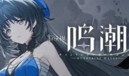 鸣潮最新版本卡池爆料,神秘角色集结，战力升级！